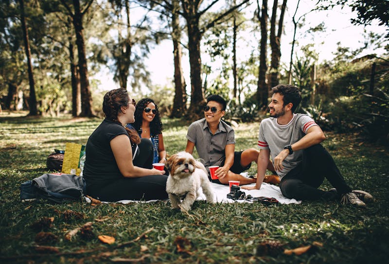 Manhattan friends hanging out in a park during the summer with a puppy. Learning how to say no to situations that burn you out, will help you ensure you have time for what you really like to do.