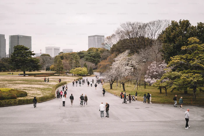 View of a big city park.