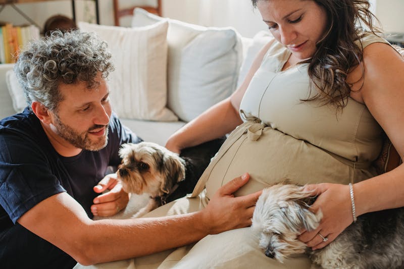 Husband and pregnant wife spending time together and with dogs.