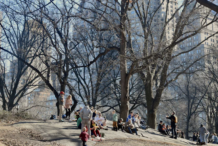 Central Park filled with people.
