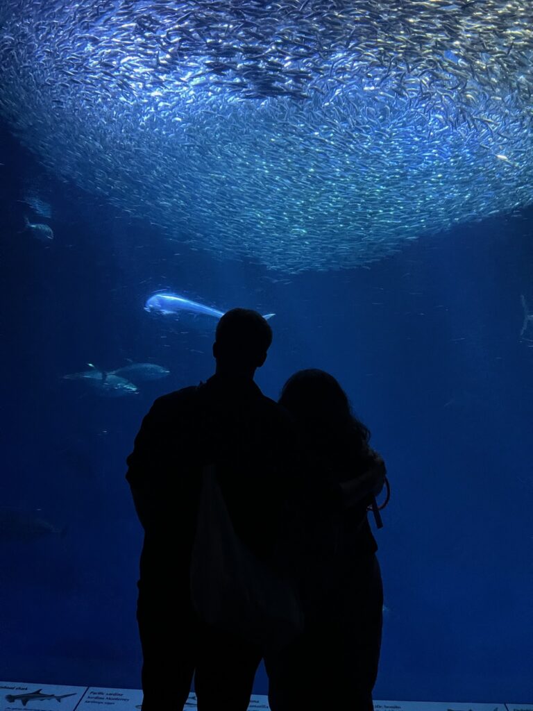 Couple trying new dating spots and enjoying their time at an aquarium museum in Manhattan