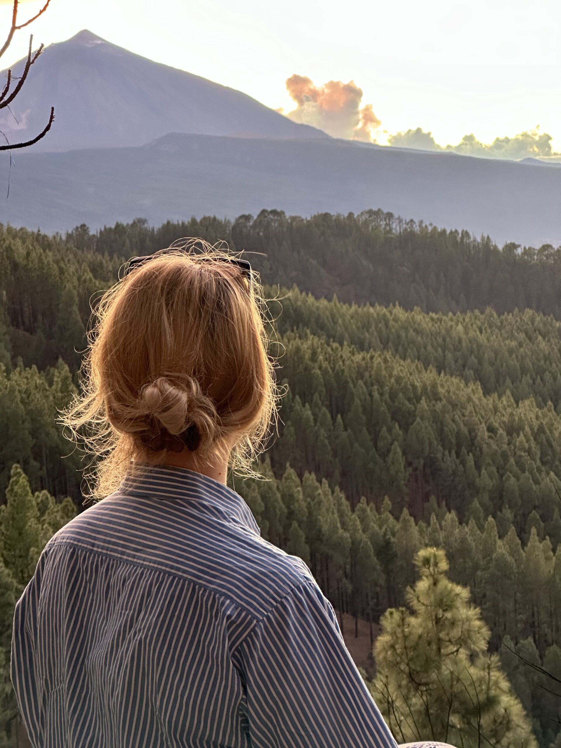 Woman quietly enjoying and reflecting while looking at the view of the nature at New York