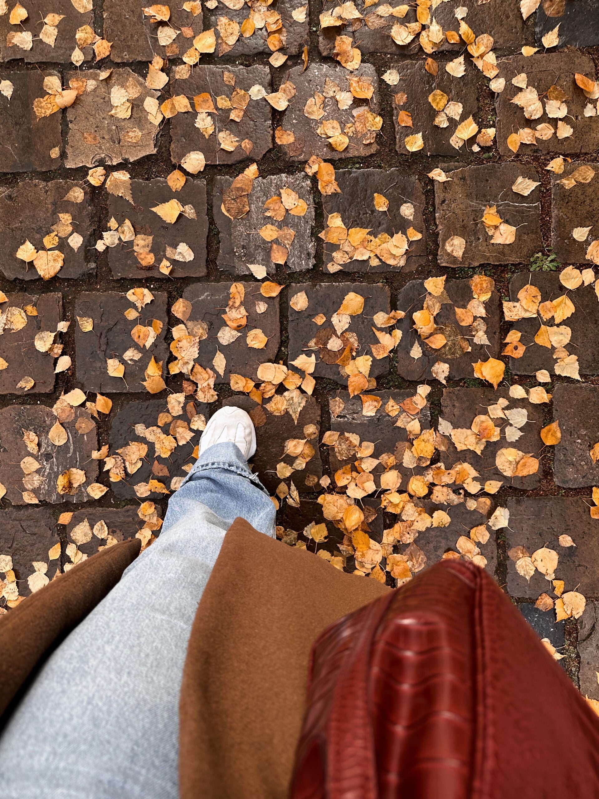Student walking on a fall season at Manhattan